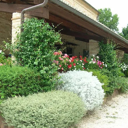 Covo Di Giramondo Montegiorgio