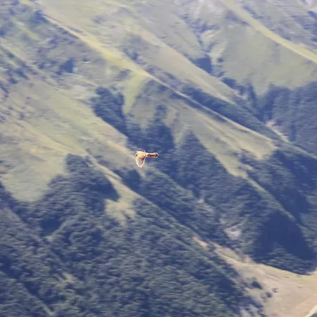 Covo Di Giramondo Montegiorgio