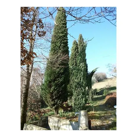 Covo Di Giramondo * Montegiorgio
